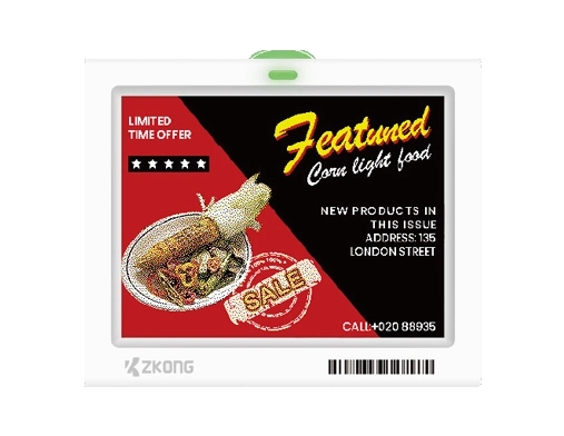 ZKONG Valley 4,2 inç ZKC42V Elektronik Raf Etiketi