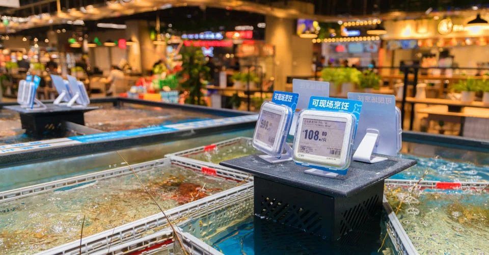 Market ve şarküteri
